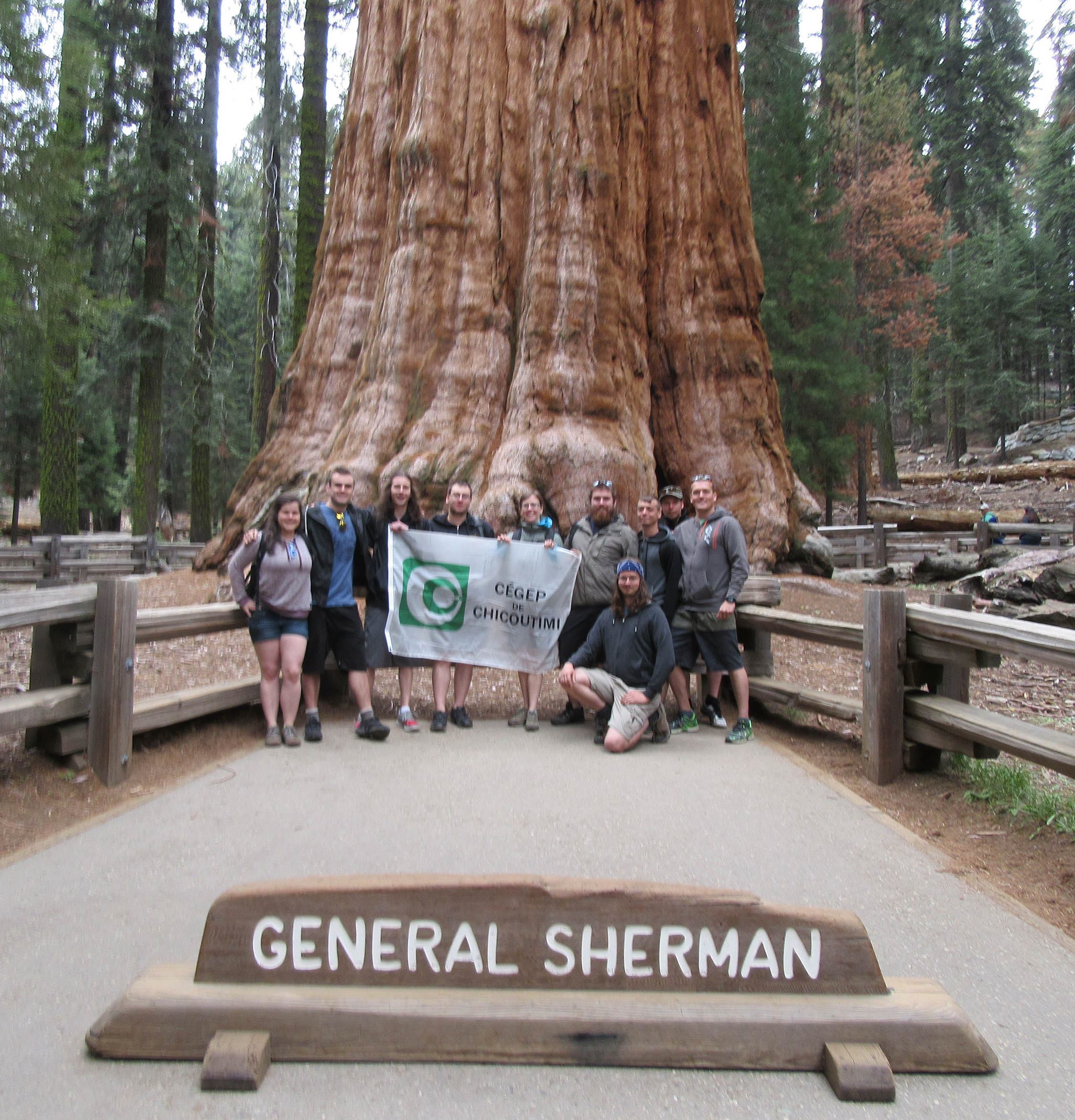 Les étudiants du programme Technologie Forestière en voyage en Californie